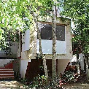 Casa Del Arbol At Duendes Campo de lujo Akumal